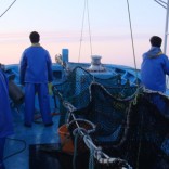 漁業ボランティア